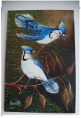 /album/oleo-/aves-png2/